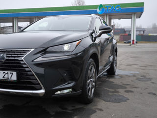 Lexus NX Series foto 4