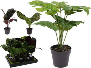 Floare Artiticiala 30Cm, In Ghiveci Plastic, 4 Modele