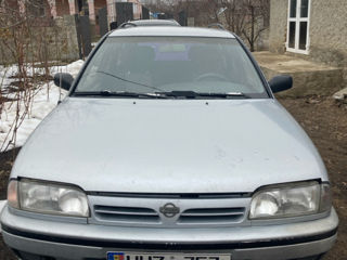 Nissan Primera foto 1