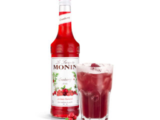 Sirop de Merișoare Monin Cranberry, Dulce-Acrișor 700 ml, Livrare