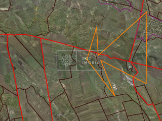 Vânzare, teren agricol cu livada, Telenești, 60 ha, 360000 euro