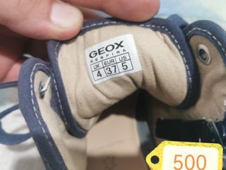 Geox Clarks foto 2