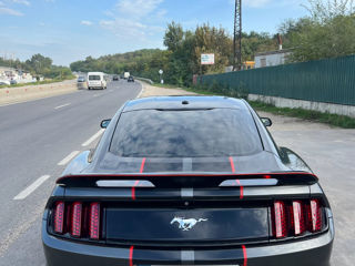 Ford Mustang foto 5