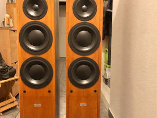 Dynaudio contour 3.3 hi-end.