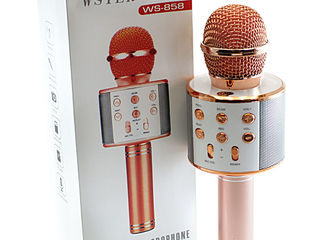 Микрофон WS-858 - 200 лей foto 1