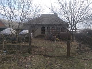 Se vinde casa pe pamint in s. Corjova, r.Criuleni foto 3