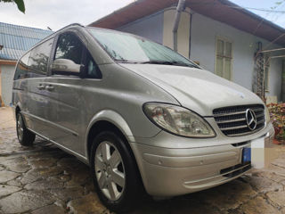 Mercedes Viano foto 2