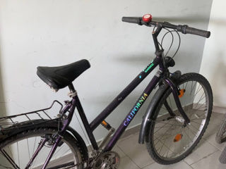 Bicicleta