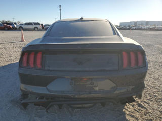 Ford Mustang foto 5