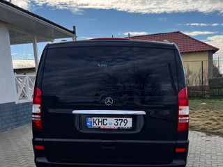 Mercedes Viano foto 4