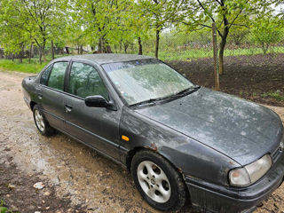 Nissan Primera foto 3