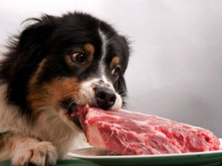 Магазин: мясо для собак, мясопродукты и сухие корма для собак и кошек, carne, carne pentru animale foto 1