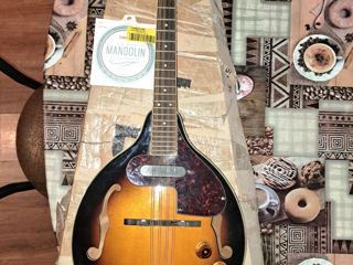 Vând mandolină electro-acustica