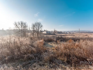 Se vinde terren agricol, Pănășești! foto 10