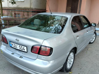 Nissan Primera foto 4