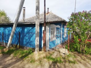 Casa foto 4