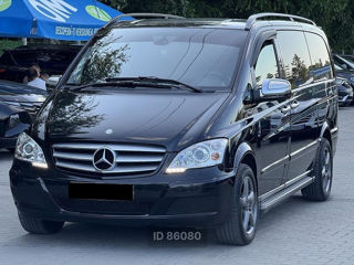 Mercedes Viano, 2013 г.