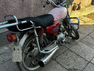 Alpha Moto 110 foto 6