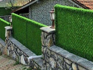 Зеленый забор декоративный.Gard verde decorativ.