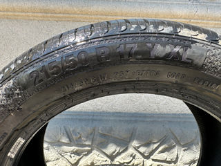 Barum 215/50 R17 foto 9