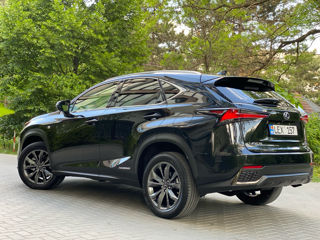 Lexus NX Series foto 6