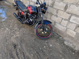 Viper zs 150cc foto 3