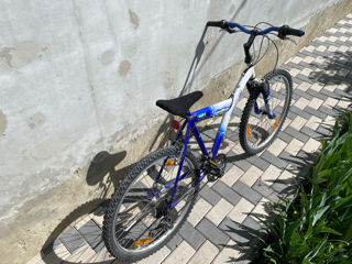 Bicicleta bună foto 2