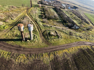 Vanzare Teren Agricol Ferma Depozit Arteziana 380v Bazin foto 5