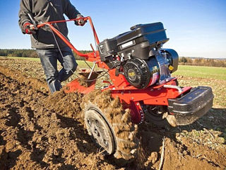 Servicii profesionale de curățare terenuri și lucrări agricole în Moldova! foto 2