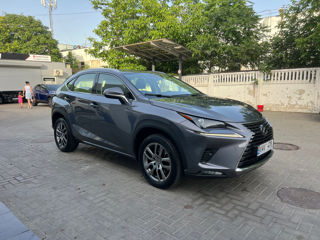 Lexus NX Series foto 3