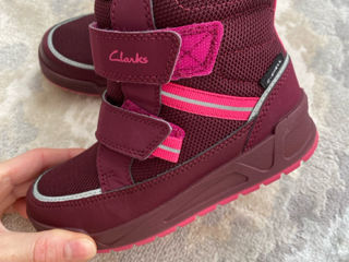 Papucei Clarks