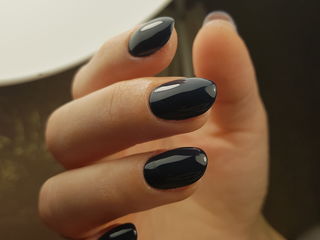 Покрытие гель-лак .shellac .биогель  чеканы foto 5