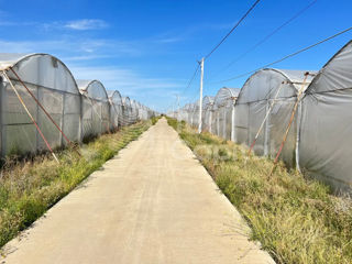 Seră solar 10 ha teren arabil foto 2