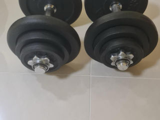 Gantere 40 kg