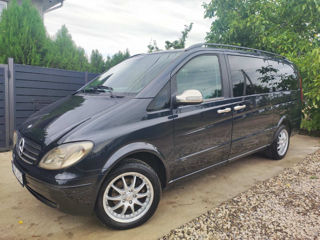 Mercedes Viano, 2006 г.
