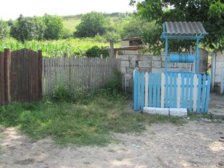 Se vinde casa 2-odai, teren 0,11 ha, satul Camencea, comuna Donici foto 5