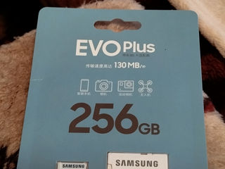 Карты MicroSD Samsung Evo Plus, Sony, 256Gb. Kodak Ultra Perfomance фото 1