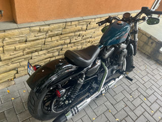 Harley - Davidson Xl 1200 sportster foto 2