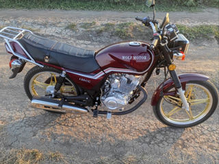 Wolf Motors 125cc