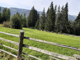 Teren pentru construcție în Vatra Dornei la munte foto 8
