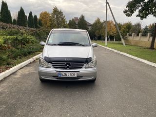 Mercedes Viano foto 3