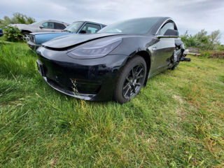 Tesla Model 3 foto 5