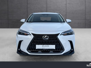 Lexus NX Series foto 3