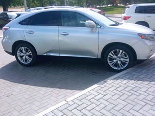 Lexus RX Series