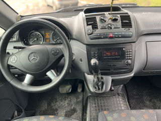 Mercedes Viano foto 9