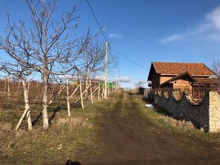 Suruceni- Soseaua Poltava, prima linie! foto 4