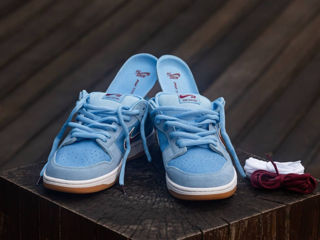 Nike SB Dunk Low Philllies Unisex foto 4