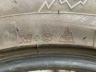 R19/55/275 Maxxis (Iarna) foto 8