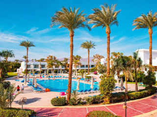 Petrece vacanta in Egypt! Hotelul - " Novotel Beach 5* " zbor pe 12 august 2024!Emirat Travel! foto 10