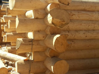 Case din lemn foto 8